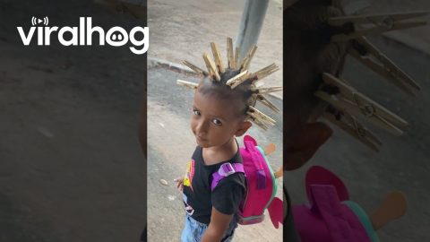 Clothespins Make Crazy Hairdo || ViralHog