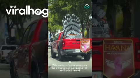 Flip Flop Throne Spotted || ViralHog