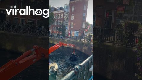 Bike Fishing in Amsterdam || ViralHog