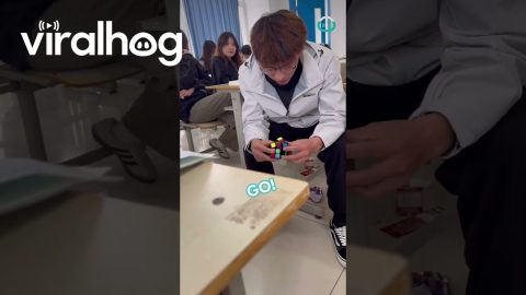 Rubiks Cube Attempt Goes Wrong || ViralHog