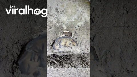Old Clock Found Sealed in Cement || ViralHog