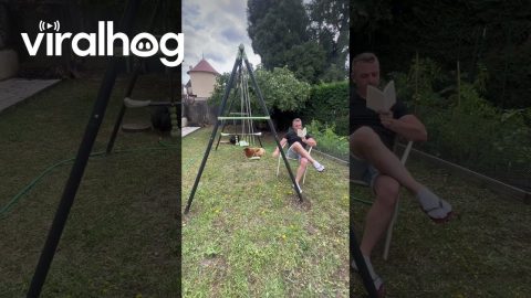 Hen Loves To Swing || ViralHog