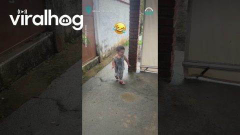Boy Has Fun In Rain Gutter Leak || ViralHog