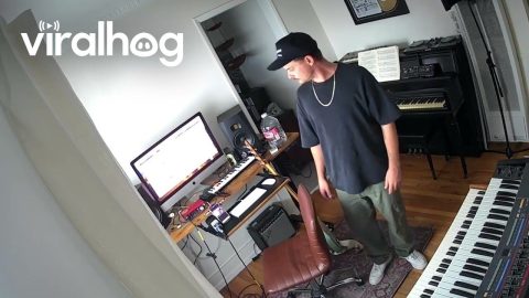 Musician Takes Cover Under Synth During Earthquake || ViralHog