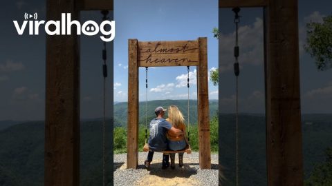 Kissing Couple Slowly Fall From Heavenly Swing || ViralHog