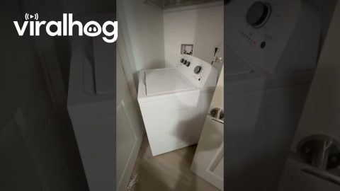 Washing Machine Spins Out Of Balance || ViralHog