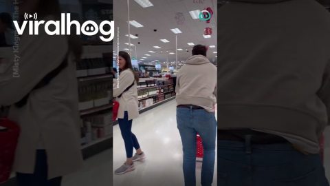 Genius Shopping Cart Dad Hack || ViralHog