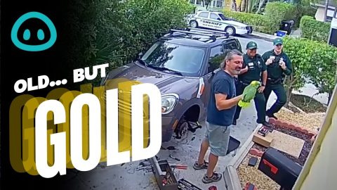 Police Called to Parrot Screech || ViralHog