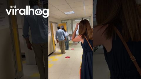 Woman Takes Door Handle With Her Leaving Exam || ViralHog