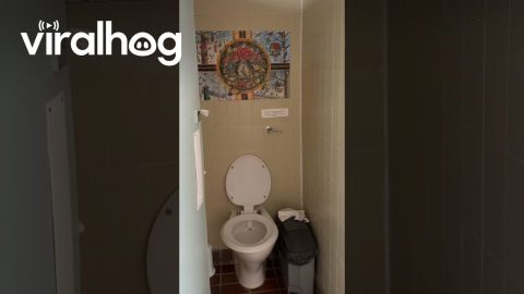 Whimsical Bathroom Decor || ViralHog