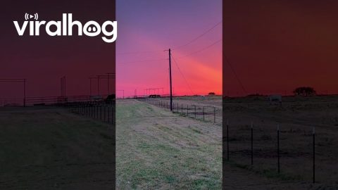 A Beautiful Texas Sunset || ViralHog