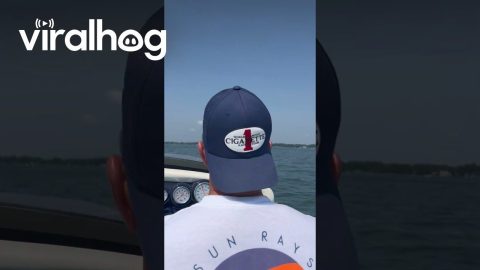 Seaplane Crashes In Indiana Lake || ViralHog