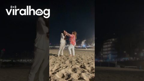 Double Surprise Proposal || ViralHog