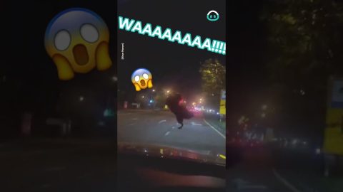 Mouse Running On Car Windscreen Whilst Driving || ViralHog