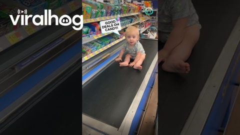 Baby Rides Conveyor Belt Check Out || ViralHog