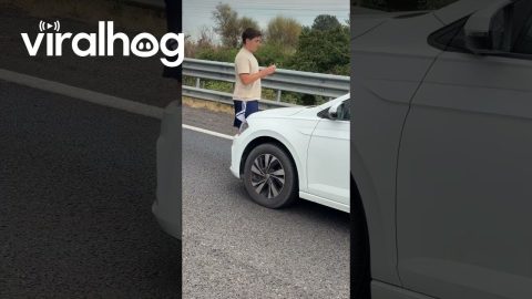Italians Play Cards And Make Friends In Traffic Jam || ViralHog
