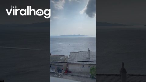 Paddleboard Rescue In Croatia || ViralHog