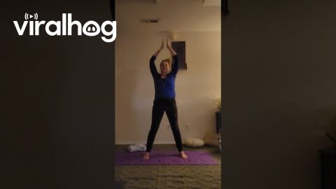 Woman Knocks Shelf Off the Wall While Doing Yoga || ViralHog