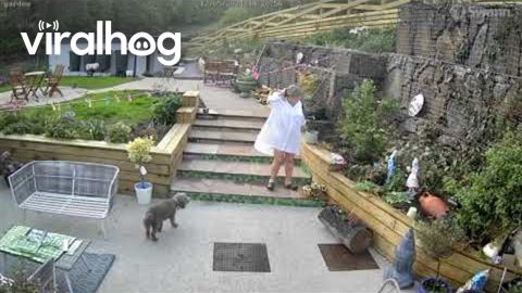 Gardener Goes Heels Up || ViralHog