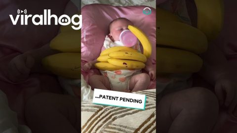 Banana Hack For Baby Feeding || ViralHog