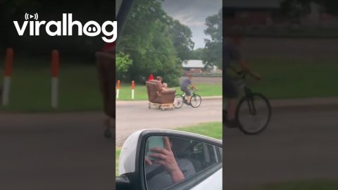 Redneck Rickshaw || ViralHog