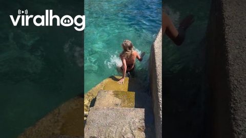 Woman Slips and Falls Into the Sea || ViralHog