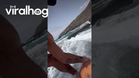 Wave Sweeps Girl Off Her Feet || ViralHog