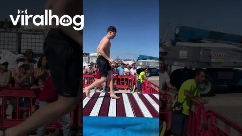 Traditional Greased Pole Game in Puerto de Sagunto || ViralHog
