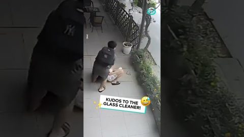 Glass Wall Fail || ViralHog
