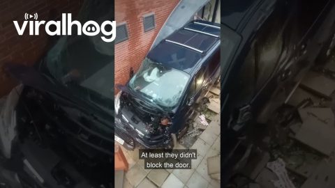At Least They Didn't Block the Door || ViralHog