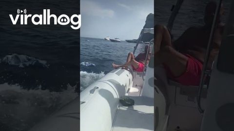 Man Slips and Falls Out of Boat || ViralHog