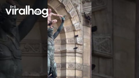 Ultra-Realistic Statue || ViralHog