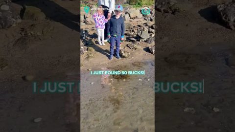 Man Finds Money In Sea || ViralHog