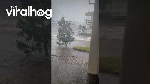 Hurricane Helene Blows Boat To Shore || ViralHog