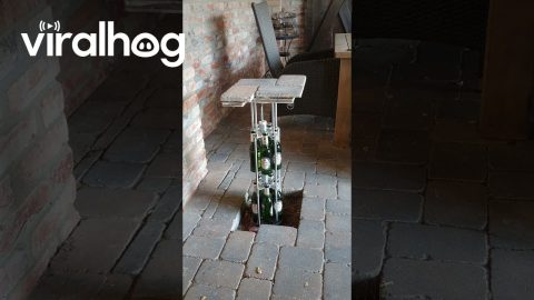 Beer Dispenser Descends Into the Floor || ViralHog