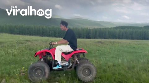 4-Wheeler Becomes a 3-Wheeler || ViralHog