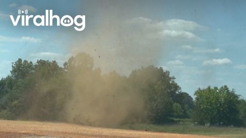 Large Dust Devil Filmed Up Close || ViralHog