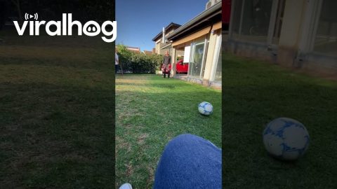 Man Slips When Trying to Pass the Ball || ViralHog