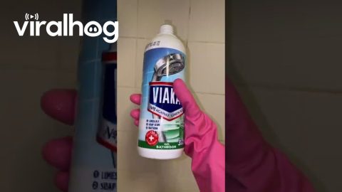 Bathroom Mold Removal Trick || ViralHog