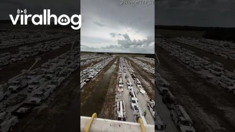 Lineworker Trucks Assemble in Preparation for Hurricane Helene || ViralHog
