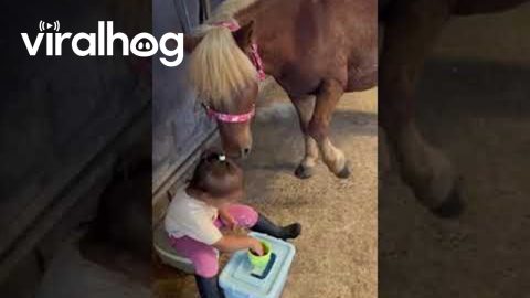 2-Year-Old Shares Fruit With Pony || ViralHog