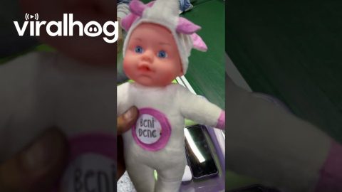 Production of Plush Doll Toys || ViralHog