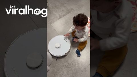 One Vacuums While the Other Wipes || ViralHog