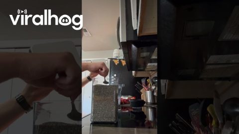 Vacuum-Sealed Container Fails Strength Test || ViralHog