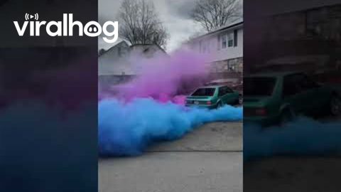 Twins Gender Reveal Burnout || ViralHog