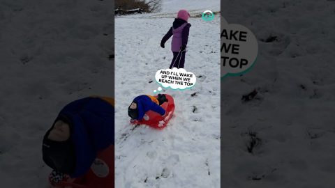 Baby Sleeps On Sleigh || ViralHog