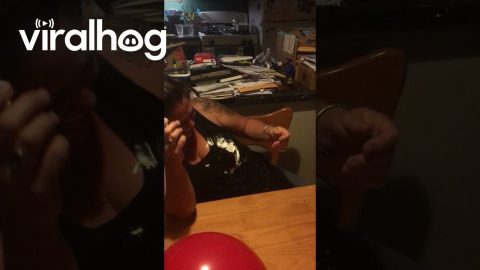 Son's First Birthday Ruined By Fumbled Cake || ViralHog