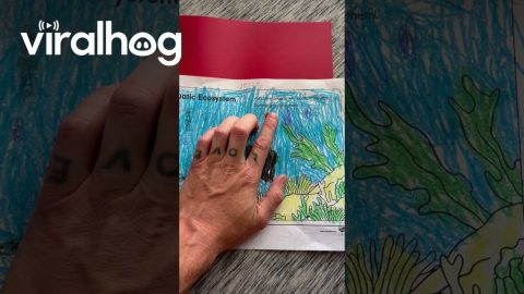 Boy's Schoolwork Takes Dad by Surprise || ViralHog