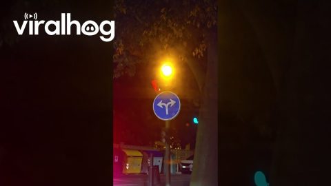 Fastest Traffic Light On Earth || ViralHog
