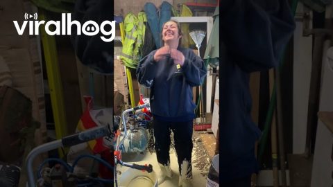 Spilled Paint Goes Everywhere || ViralHog